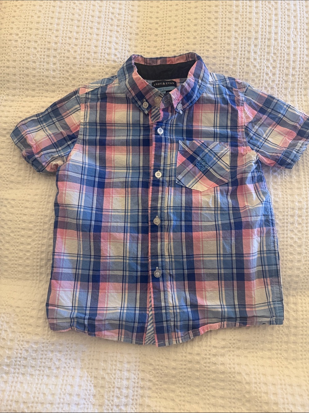 Pink and Blue Button Down